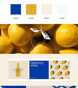 Brand Identity